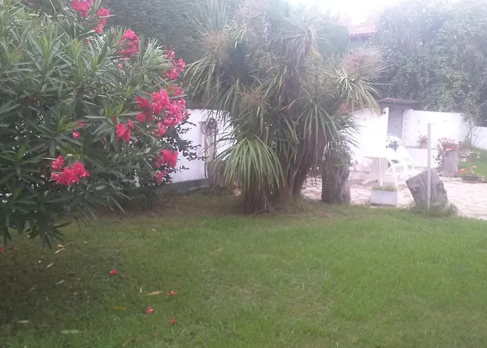 App Ensoleille Guethary Classe 2 * Avec Terrasse Et Jardin Privatifs