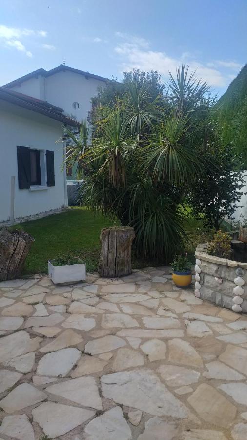 App Ensoleille Classe 2 * Avec Terrasse Et Jardin Privatifs