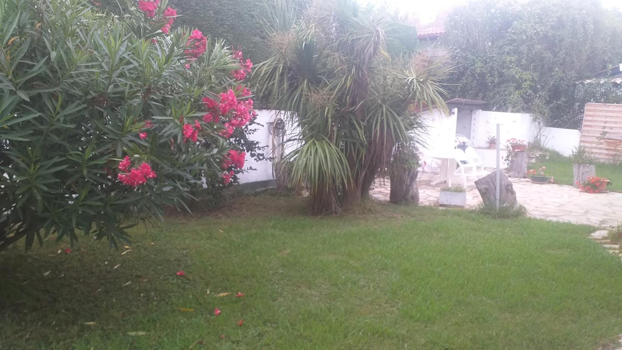 Appartement App Ensoleille Classe 2 * Avec Terrasse Et Jardin Privatifs Guéthary